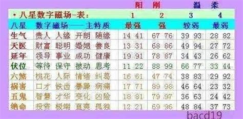 數字能量學分析